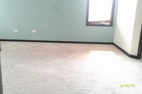 1707 Saddle Run Ln, Beecher, IL 60401 photo 16