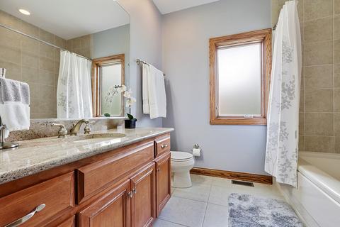 25219 S Tuscany Dr E, Monee, IL 60449 photo 12
