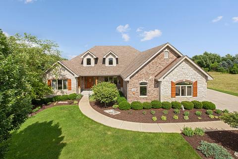 25219 S Tuscany Dr E, Monee, IL 60449 photo 1