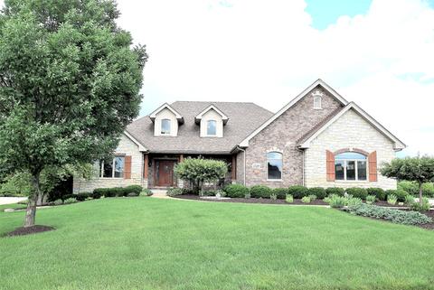 25219 S Tuscany Dr E, Monee, IL 60449 photo 2