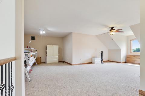 25219 S Tuscany Dr E, Monee, IL 60449 photo 14
