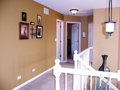 2900 Discovery Dr, Plainfield, IL 60586 photo 41