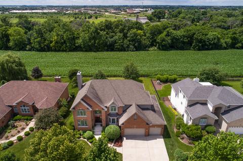 13644 Capista Dr, Plainfield, IL 60544 photo 3