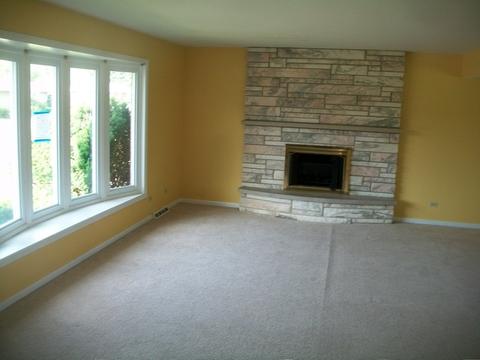 3545 172nd Pl, Lansing, IL 60438 photo 4