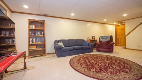 2195 Plumtree Dr, Naperville, IL 60565 photo 20