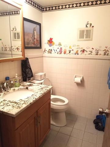 1407 E Lowden Ln, Mount Prospect, IL 60056 photo 19