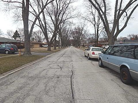 1407 E Lowden Ln, Mount Prospect, IL 60056 photo 30
