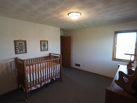 4358 E Falcon Dr, Byron, IL 61010 photo 20