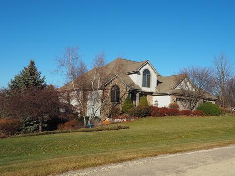 4358 E Falcon Dr, Byron, IL 61010 photo 50