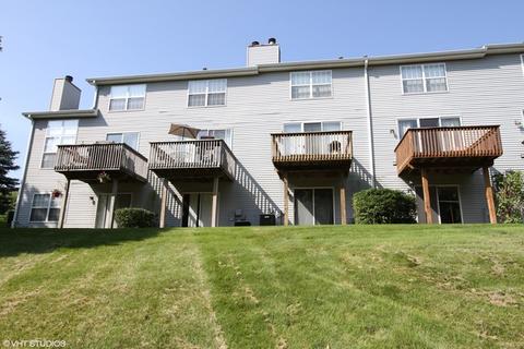1338 Grandview Ct, Algonquin, IL 60102 photo 22