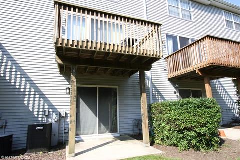 1338 Grandview Ct, Algonquin, IL 60102 photo 23