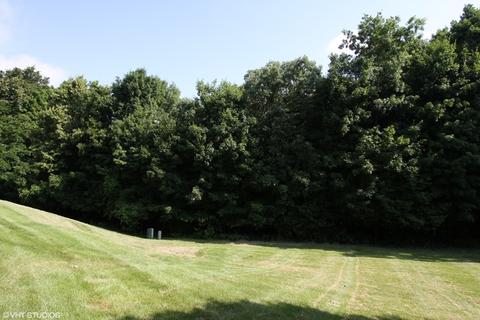 1338 Grandview Ct, Algonquin, IL 60102 photo 20
