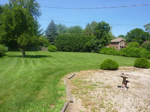 1466 S Wolf Rd, Des Plaines, IL 60018 photo 15