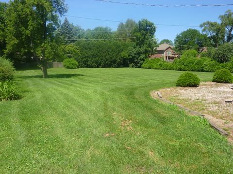 1466 S Wolf Rd, Des Plaines, IL 60018 photo 14