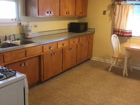 17848 Arcadia Ave, Lansing, IL 60438 photo 5