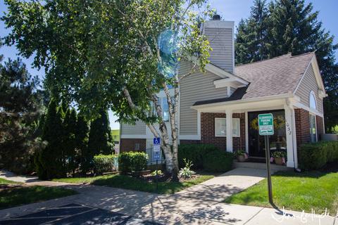 951 Interloch Ct, Algonquin, IL 60102 photo 22