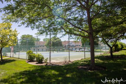 951 Interloch Ct, Algonquin, IL 60102 photo 18
