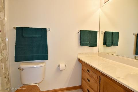 1545 Knotty Pine Dr, Elgin, IL 60123 photo 21