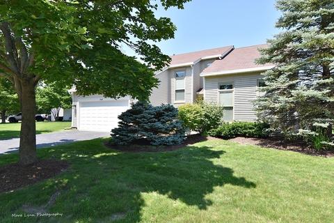 1545 Knotty Pine Dr, Elgin, IL 60123 photo 2