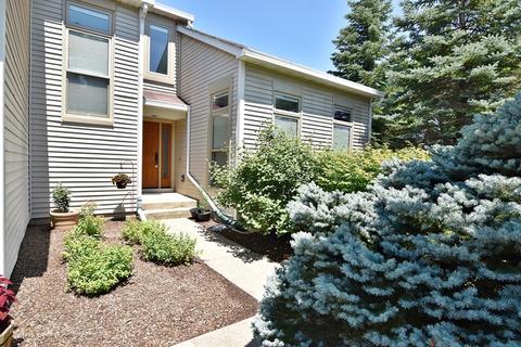 1545 Knotty Pine Dr, Elgin, IL 60123 photo 3