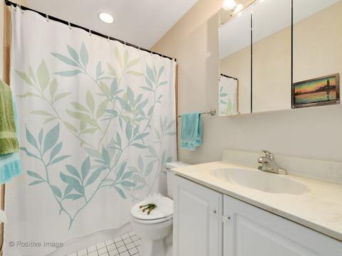 1630 Ivy Ct E, Wheaton, IL 60189 photo 20