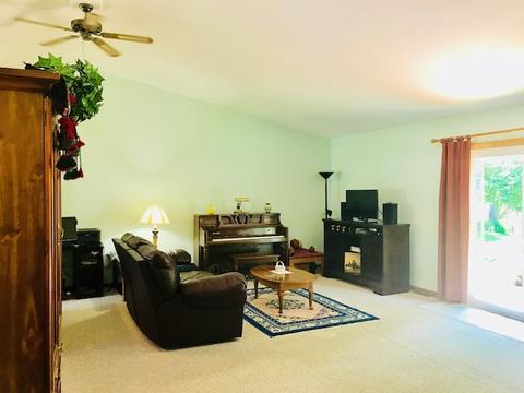 128 N Maple St, Braidwood, IL 60408 photo 8