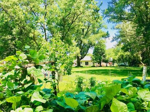128 N Maple St, Braidwood, IL 60408 photo 25
