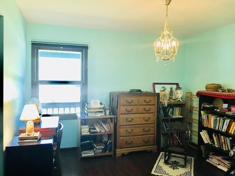 128 N Maple St, Braidwood, IL 60408 photo 9