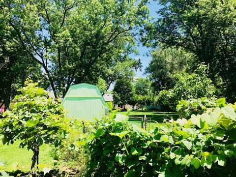128 N Maple St, Braidwood, IL 60408 photo 24