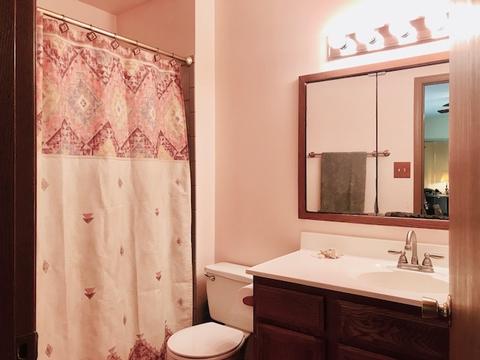 128 N Maple St, Braidwood, IL 60408 photo 18