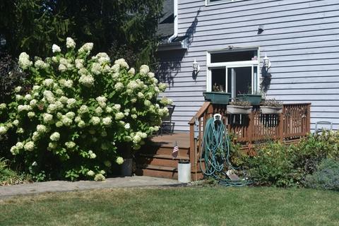 1905 Euclid Ave, Mount Prospect, IL 60056 photo 25