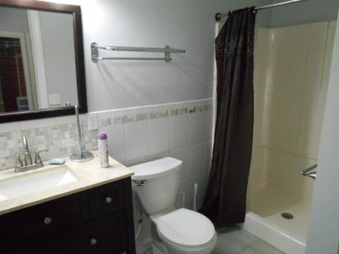 319 E Devlin St, Spring Valley, IL 61362 photo 13