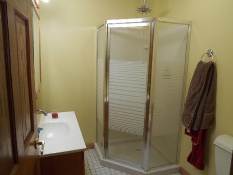 319 E Devlin St, Spring Valley, IL 61362 photo 7
