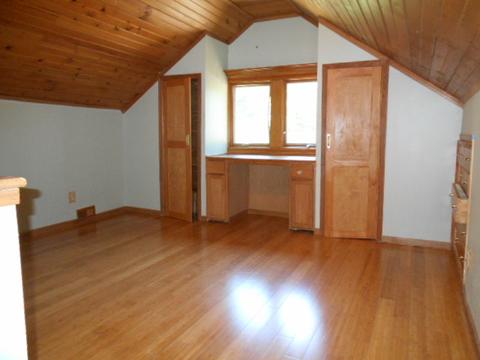 319 E Devlin St, Spring Valley, IL 61362 photo 11
