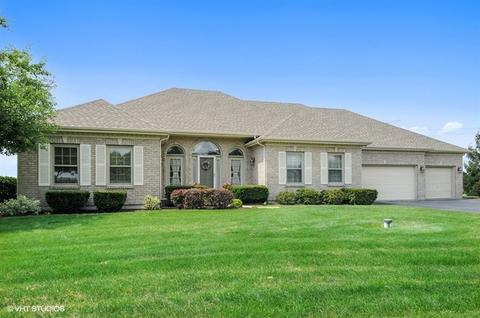 17431 S Honora Dr, Plainfield, IL 60586 photo 17