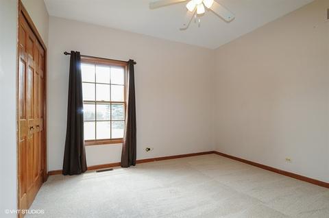 17431 S Honora Dr, Plainfield, IL 60586 photo 12