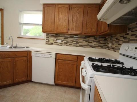 1363 Northgate Dr, Bartlett, IL 60103 photo 8