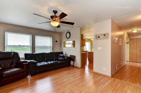 903 Christopher St, Plano, IL 60545 photo 16