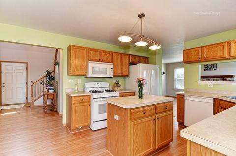 903 Christopher St, Plano, IL 60545 photo 10