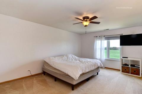 903 Christopher St, Plano, IL 60545 photo 20