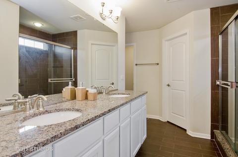 263 Stagecoach Dr, Elgin, IL 60124 photo 10