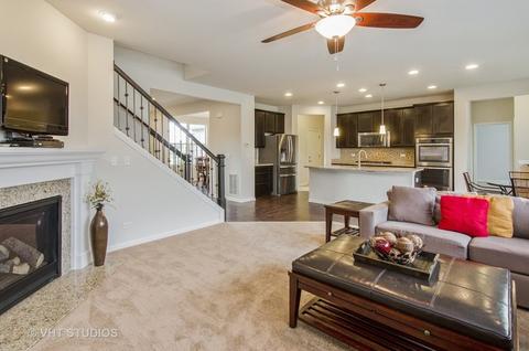 263 Stagecoach Dr, Elgin, IL 60124 photo 5
