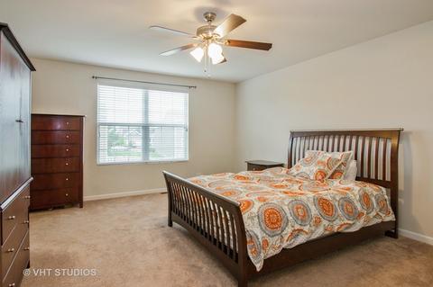 263 Stagecoach Dr, Elgin, IL 60124 photo 9