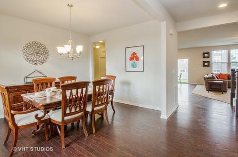 263 Stagecoach Dr, Elgin, IL 60124 photo 4