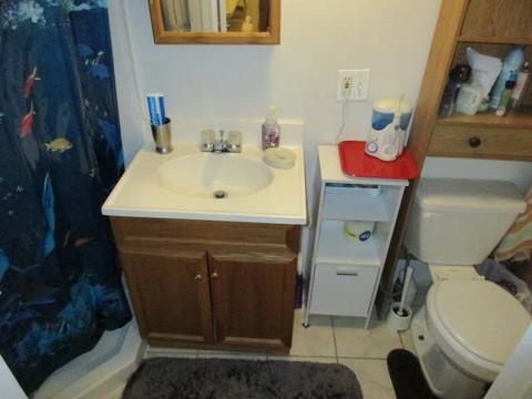 4628 Winchester Ave, Lyons, IL 60534 photo 13