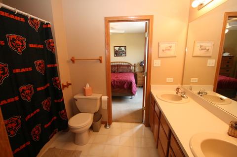 1408 Martin Ct, Plainfield, IL 60586 photo 25