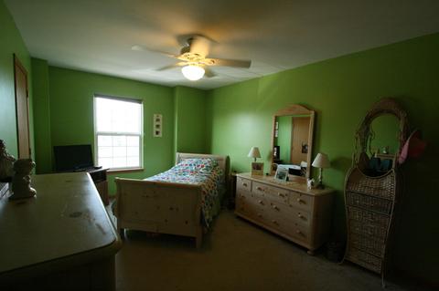 1408 Martin Ct, Plainfield, IL 60586 photo 23