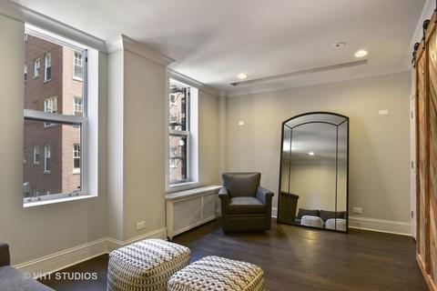 220 E Walton Pl #9E, Chicago, IL 60611 photo 16