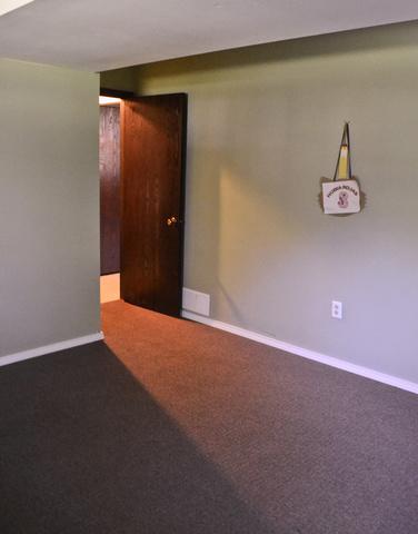 29 Jack St, Plano, IL 60545 photo 21