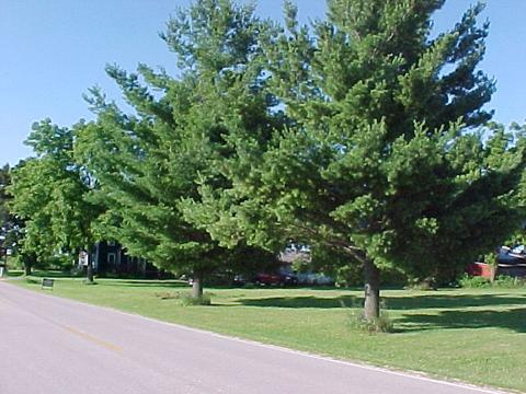 17783 N Capron Rd, Capron, IL 61012 photo 23